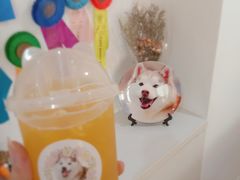 -Husky Go! 哈士奇体验馆·宠物咖啡厅狗咖