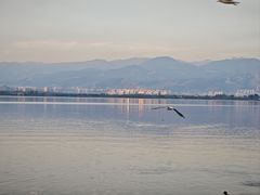 -西昌邛海湾柏樾酒店(原邛海湾柏栎度假酒店)