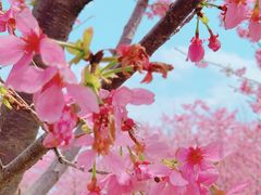 -福建鲤鱼洲酒店