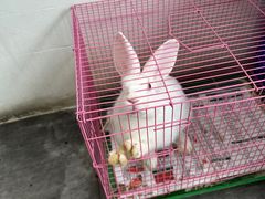 -岳合轩老北京涮肉