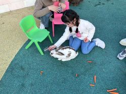 -季高兔窝窝亲子园(上海薰衣草公园店)