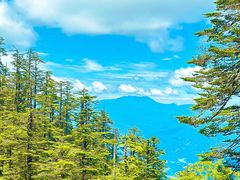 -瓦屋山景区