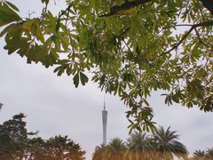 -广州塔