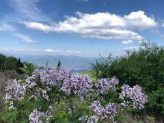 -阳台山自然风景区