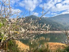 -广州市流溪河国家森林公园