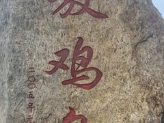 -放鸡岛生态旅游国际度假区