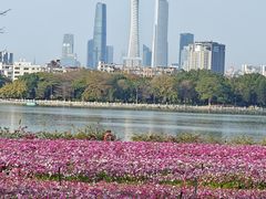 -海珠湖公园