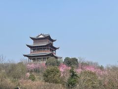-南京市溧水区傅家边梅花山弄山庄