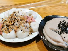 -海丝金凤(金鱼店)