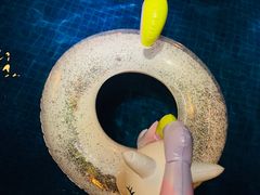 -三亚亚龙湾雅高铂尔曼别墅度假酒店