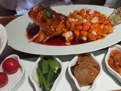 -松鹤面馆·古法焖肉面(观前店)