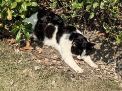 -华东政法大学(松江校区)