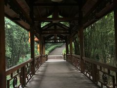 -天赐温泉