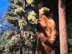 -陕西自然博物馆