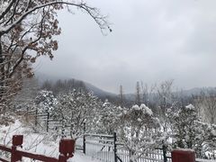 -紫金山山顶公园