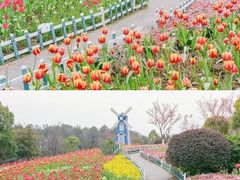 -铁山坪森林公园