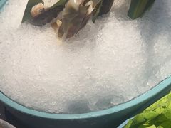 -1718海鲜姿造(苏宁宴请臻选店)