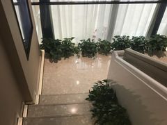 -柏乐口腔医院·舒适化无痛种植牙中心(东盟商务区院)