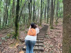 -广州神农草堂中医药博物馆