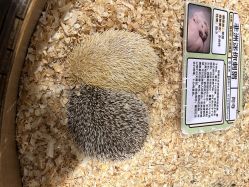 -Zoolung Zoolung动物主题公园(海信广场店)