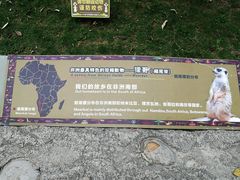 -灵玲国际马戏城