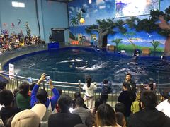 -石家庄极地海洋世界