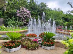 -燕塞湖鸟语林景区