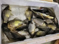 -上海怡沁园度假酒店