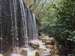-雁南飞茶田景区