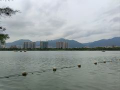-飞来湖湿地公园