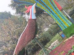 -南山植物园