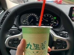 功夫椰子王-九里香奶茶果汁(碧湖店)