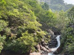 -云岫谷游猎自然风景区