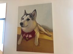 -Husky Go! 哈士奇体验馆·宠物咖啡厅狗咖