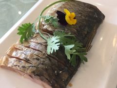 -绿杨春·淮扬宴(庐山路店)
