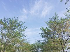 -上海南浦大桥长途旅游客运站