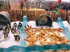 -新艺自助美食城(中山路店)