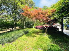 -白马涧龙池景区