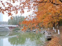 -大兴滨河森林公园