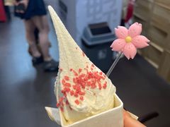 -野人先生现做冰淇淋(北京顺义祥云小镇店)