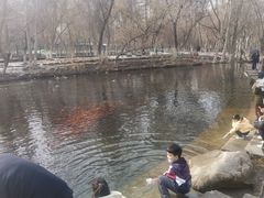 -水磨沟公园