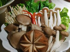 -九鼎轩脆毛肚火锅(三钢里店)