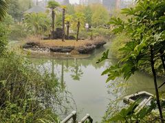 -咸宁万豪温泉谷度假区