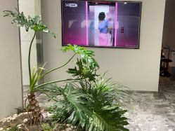 -时尚玩家发型设计