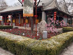 -白家大院·王府宫廷菜(苏州街店)