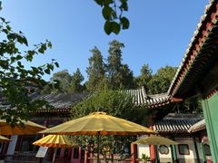 -宫事颐庭·老佛爷贵寿下午茶(颐和园店)