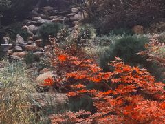 -大连植物园
