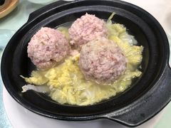 -丁老爷子苏香圆