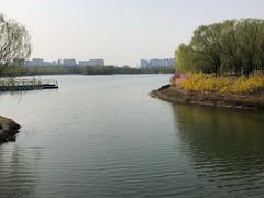 -大兴滨河森林公园