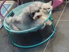 -萌兽医馆·眼科·异宠专科(三里屯店)